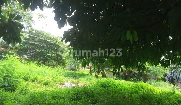 For Sale Commercial Land Right on Utan Jati Main Road, Selling by Land Area Calculation
