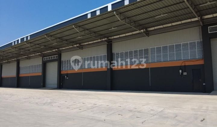 Gudang Modern Dadap Terluas Bebas Banjir Dan Macet Nego Sampai Jadi