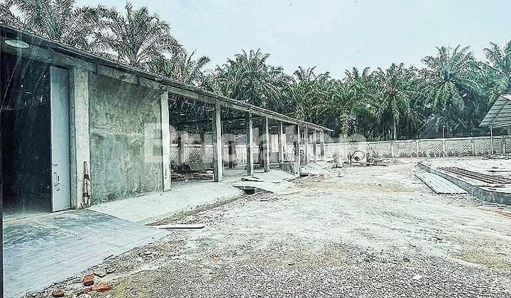 Bangunan Pabrik Baru ( Tidak Jadi Beroperasi )