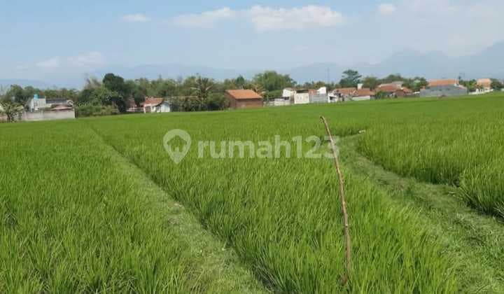 Tanah Sawah 4.079 M² Daerah Jalan Sapan, Ciparay, Bandung