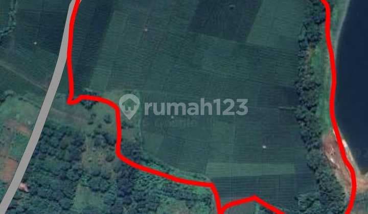 Tanah Sawah 4,5 Hektar Dekat Pt. Byd Indonesia, Subang