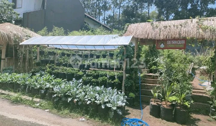 Tanah 360 M2 di Pusat Kota Bandung Dalam Komplek Lokasi Strategis Tanah 360 M2 di Pusat Kota Bandung Dalam Komplek Lokasi Strategis