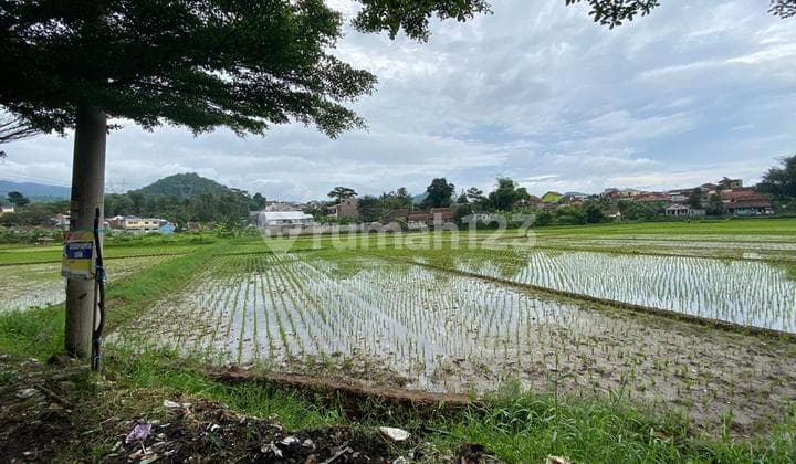 DIJUAL TANAH SAWAH DAERAH SOREANG