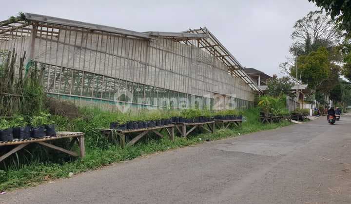 JUAL TANAH LUAS 2.960 M2 DAERAH LEMBANG