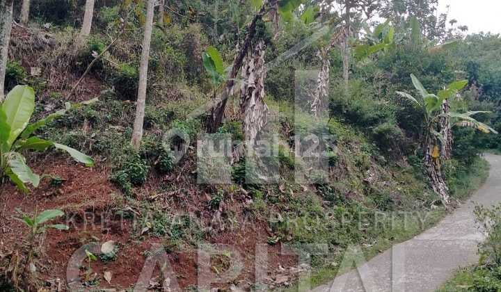 Strategic 10 Hectare Land Near Jalak Harupat Bandung
