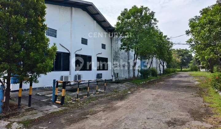 Disewakan Gudang Lokasi Sangat Strategis di Dekat Tol Cikande