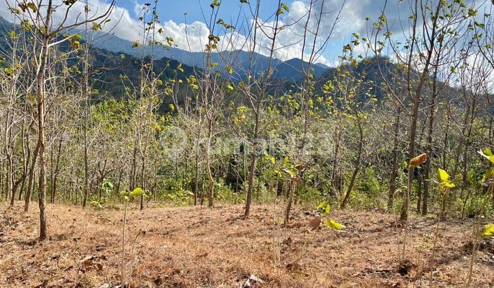 Tanah Sewa Ocean View Sangat Murah Siap Bangun Vila