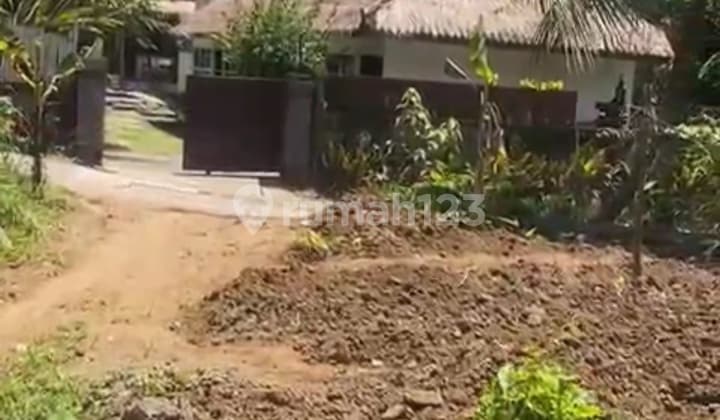 Tanah Super Murah di Petulu Ubud Zona Pink Siap Huni