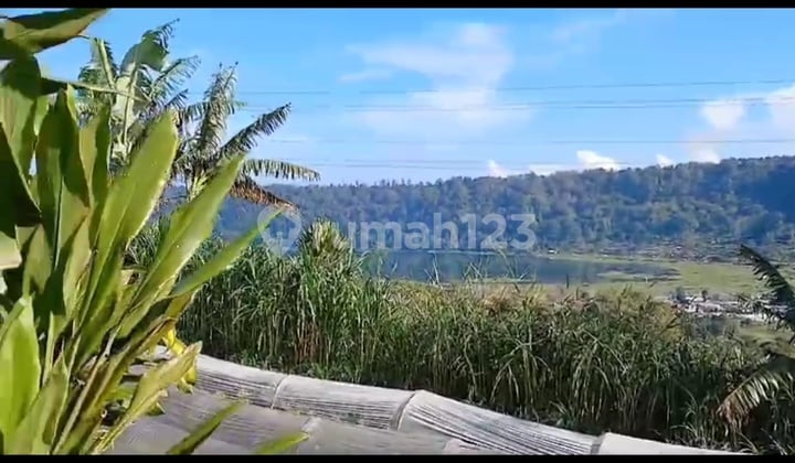 Buyan Lake View Keren Cocok Villa Atau Bisnis Glamping