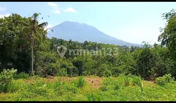 Land View Mountain Hill Forest Super Beautiful