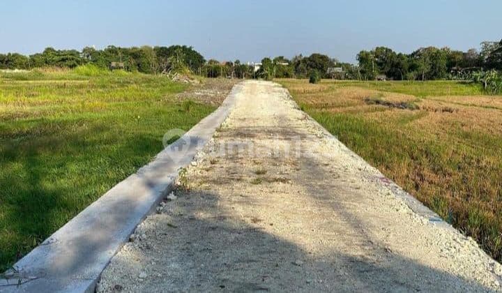 CHEAPEST UMALAS LAND READY TO BUILD VILLA RENTAL