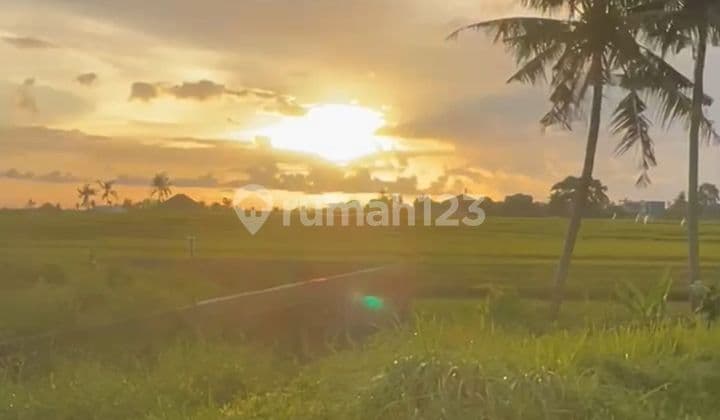 TANAH OCEAN VIEW SUNSET VIEW SAWAH TERSERING TERKEREN PERERENAN