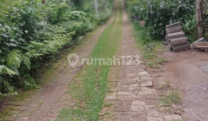 Tanah Cocok Investasi View Keren Harga Murah