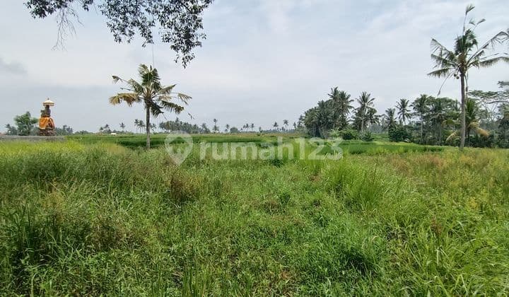 TANAH VIEW SAWAH GUNUNG LEMBAH KEREN COCOK VILLA RENTAL