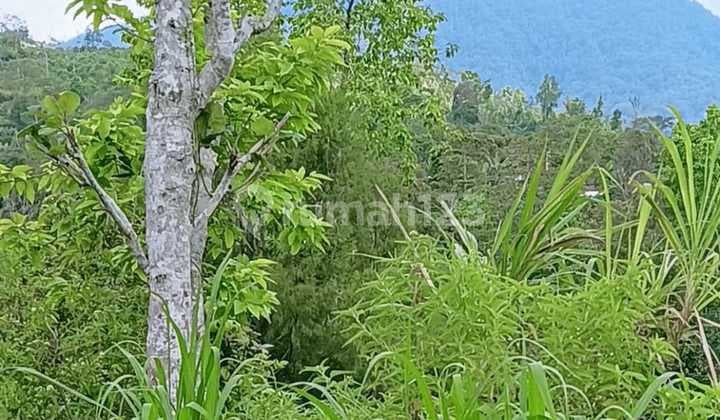 Tanah Kebun View Laut Gunung Keren Cocok Investasi
