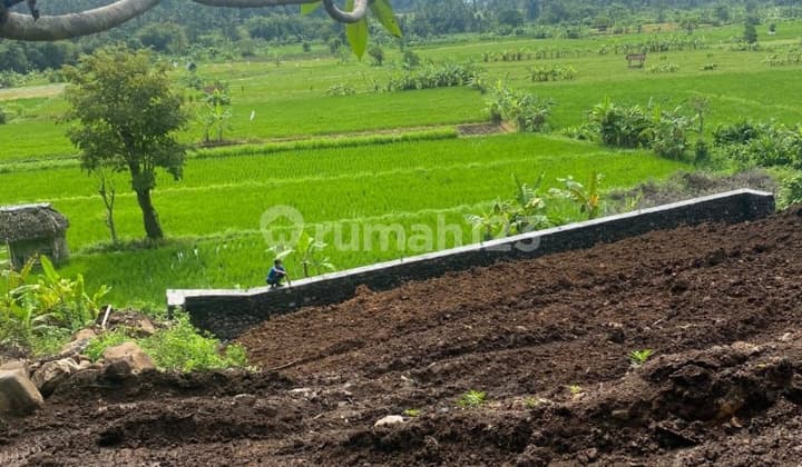 Tanah View Laut Sawah Bukit Virgin Beach Karangasem
