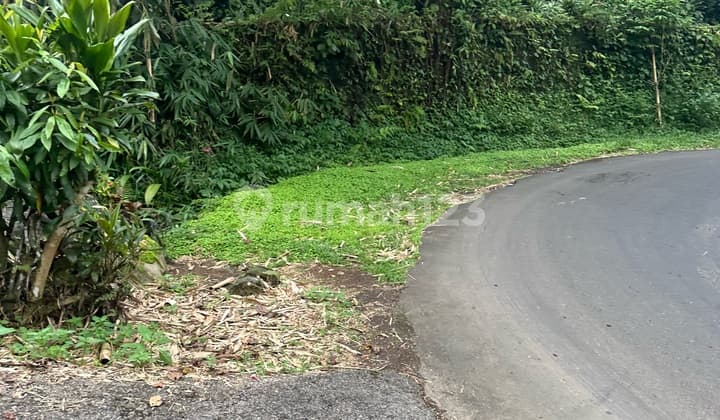 Tanah Udara Dingin Jatiluwih Jalan Besar View Gunung