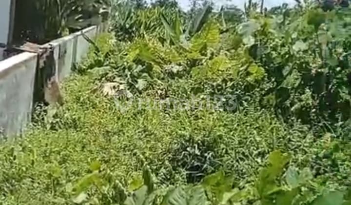 Cheap Land Central Ubud Jl Motor Lingkungan Villa