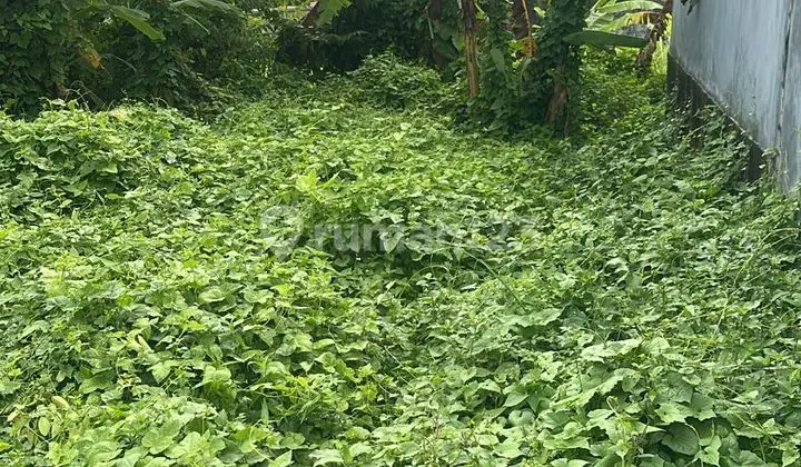 Tanah Zona Kuning Dekat Canggu Cocok Villa Sswa