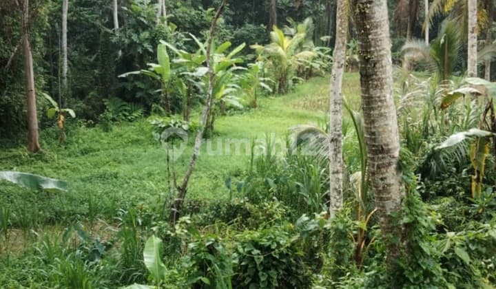 Land for Villa Resort Los Sungai Hutan Lembah