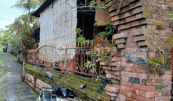 Disewakan Rumah Di Pengosekan Ubud Strategis Dan Bagus