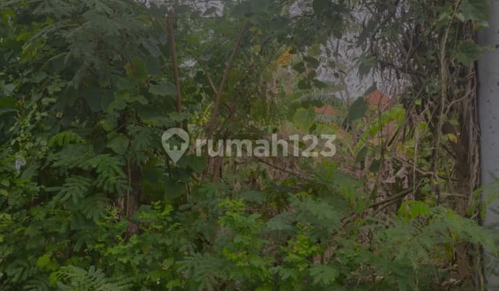 Tanah Murah Batursari Sanur Zona Kuning Siap Bangun