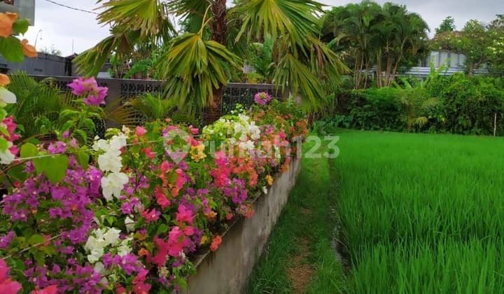 Super Cheap Great View for Private Villas Only