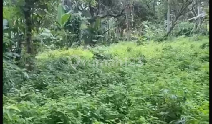 Tanah Sewa Zona Kuning View Hutan Sungai Siap Bangun