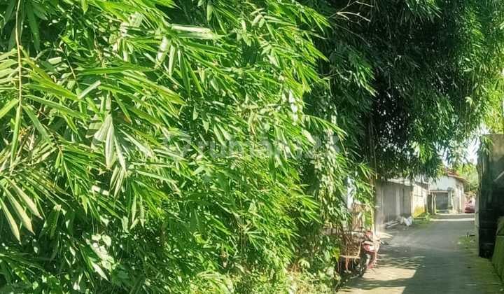 Tanah Sewa Sayan Ubud View Hutan Zona Kuning