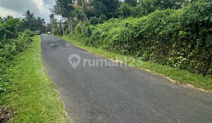 Tanah View Sawah Gunung Jl Mobil Zona Kuning