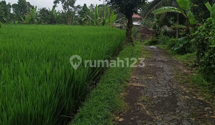 Tanah Cocok Vila Pribadi View Sawah Zona Kuning