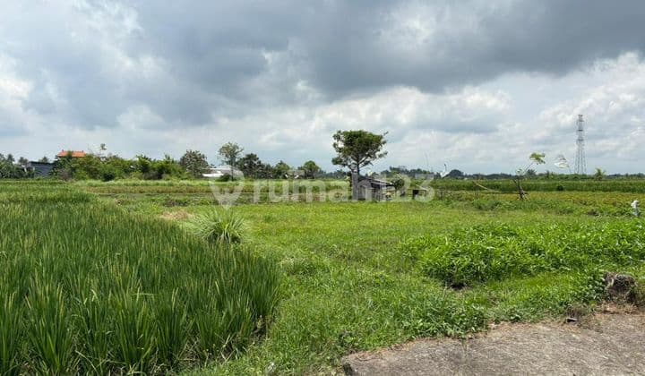 Tanah Murah Siap Bangun Villa View Sawah