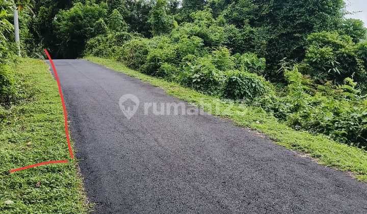 For Sale Cheap Land Location@selemadeg Near Good and Spacious Beach