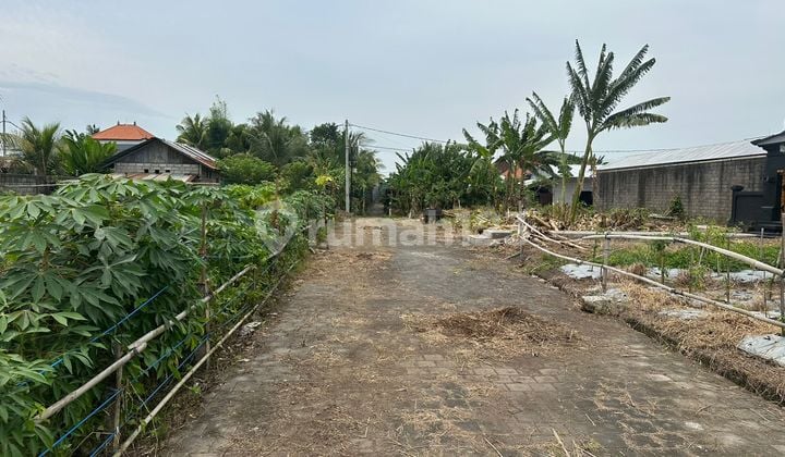 7 Mnit ke Pantai Kedungu Siap Bangun Villa Rental