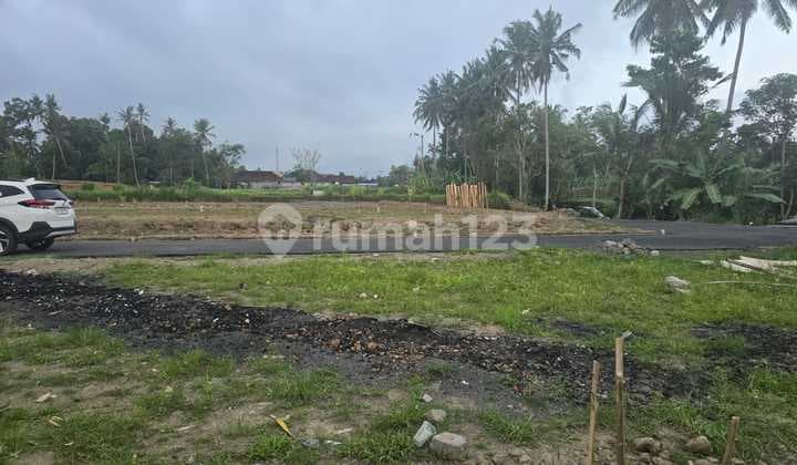 Dijual Tanah Lokasi di Pejeng 50M Dari Jalan Raya