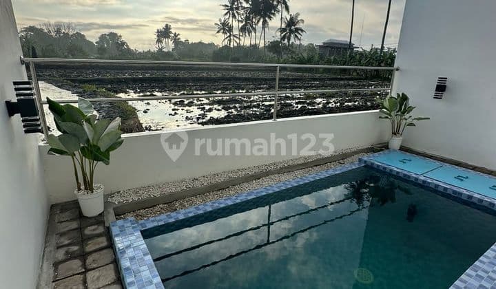 Disewakan Villa Baru Disakah Ubud Bagus