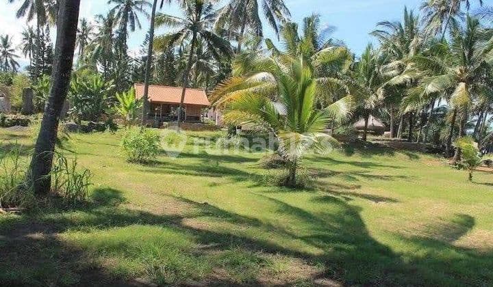 Jual Tanah Murah Beach Front Karangasem Strategis