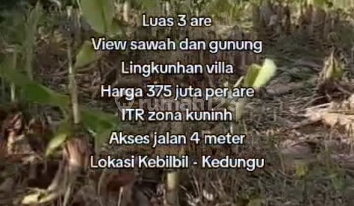 Tanah View Sawah Keren Siap Bangun Lingkungan Villa