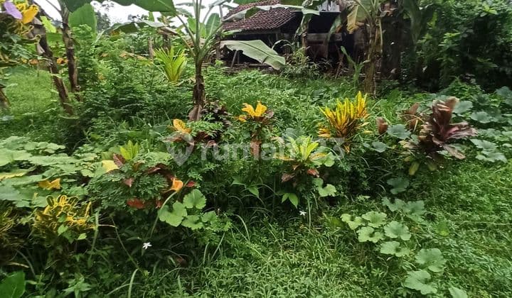 Tanah Murah 2 Are Cuma 250 Jt View Sawah Zona Kuning