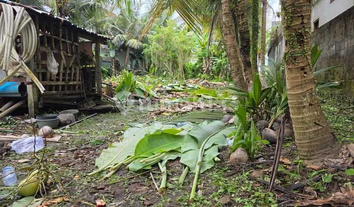 Tanah Zona Pink Siap Bangun Komplek Villa Ubud