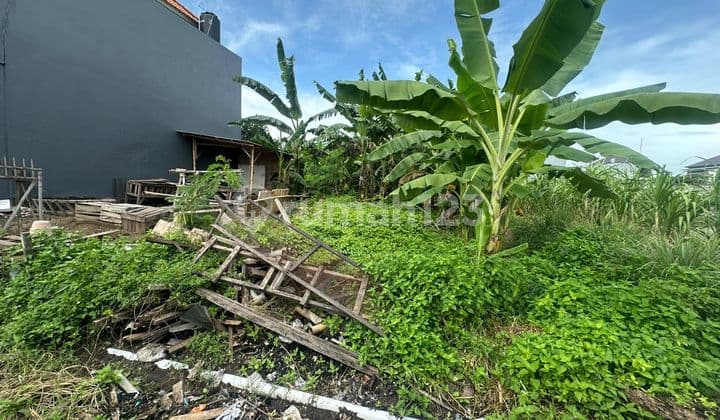 Yellow Zone Trenguli Dentim Land Ready to Build