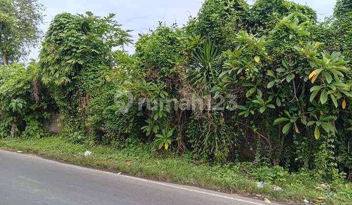 Dijual Tanah Los Sungai Pinggir Jalan Utama Gianyar