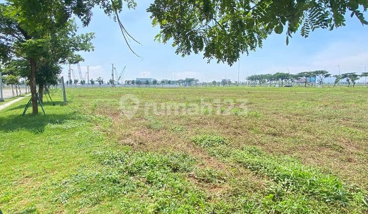 For Rent Commercial Plot PIK 2 Area 450m Minimum Lease 2 Years