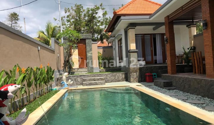 Cm488 Rent Villa Padonan Canggu Kuta Bali Near Denpasar Seminyak Kerobokan Tanah Lot Tabanan