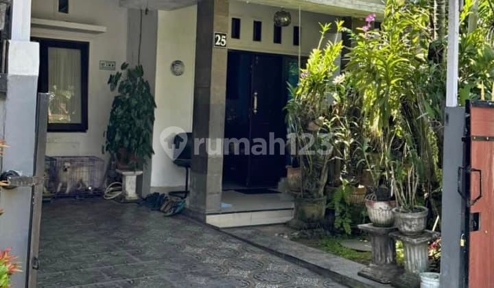 Cm527 Jual Tumah Buduk Mengwi Badung Bali Dekat Canggu Dalung Tabanan