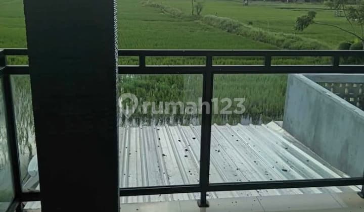K566 Sewa Rumah View Sawah Juwet Sari Pemogan Denpasar Bali Dekat Sesetan By Pass Sanur Jimbaran Sunset Road Seminyak Imam Bonjol