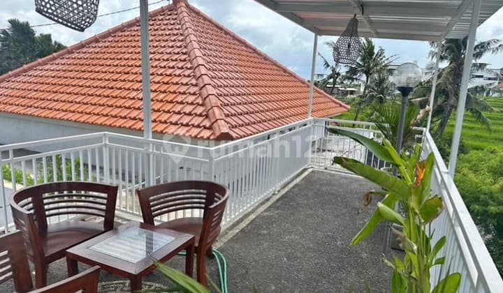 K415 Sewa Rumah View Sawah Dawas Canggu Kuta Badung Bali Dekat Tabanan Denpasar Seminyak Kerobokan Dalung