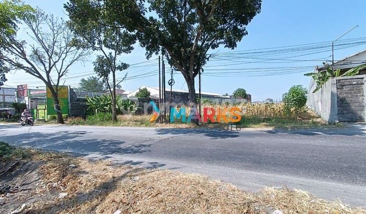 Cheap Land for Rent in Warehouse Area Near Toll Exit, Ready for Profit.