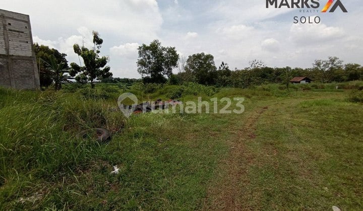 Lahan Gondangrejo Cocok Untuk Bangun Perumahan Atau Investasi