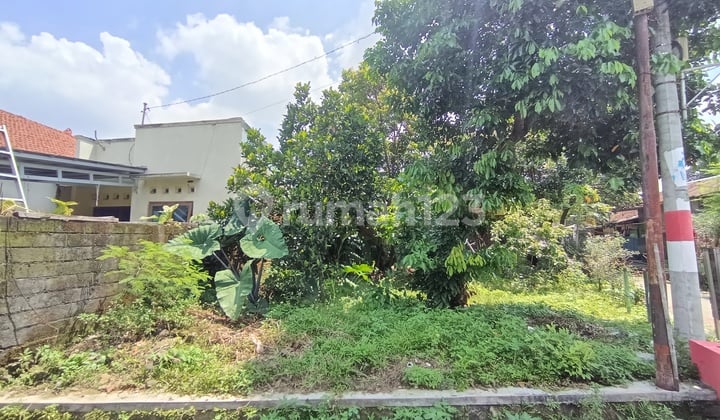 Tanah Hook Di Karanggeneng Gunungpati SHM